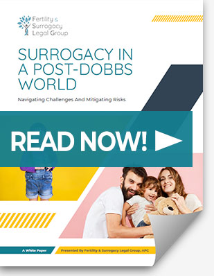 Surrogacy In A Post-Dobbs World White Paper: Read Now!